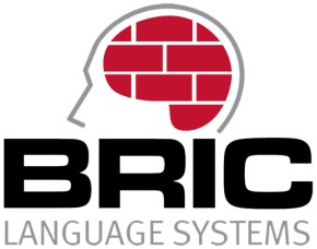 BRIC Language Systems logo